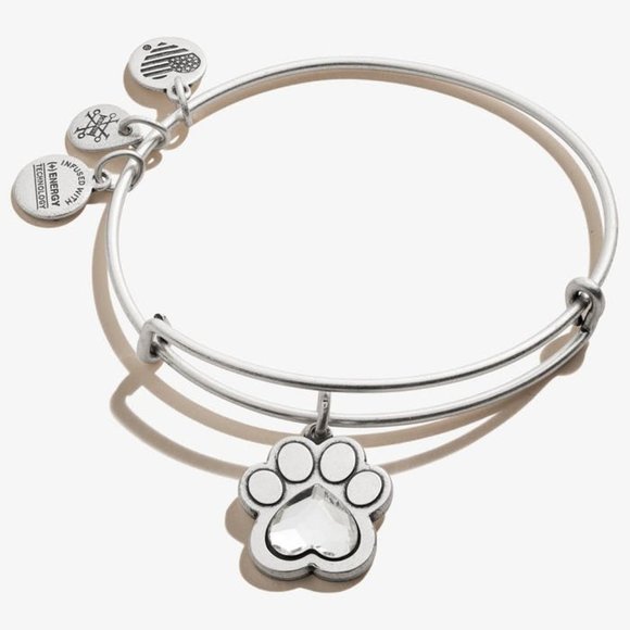 Alex & Ani Bracelet - Picture 1 of 1